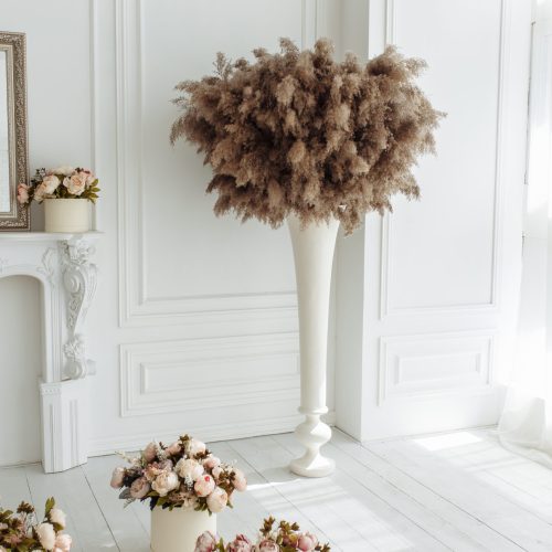 Dry thistle, burdock and reeds common bulrush in vase isolated on white wall background.
